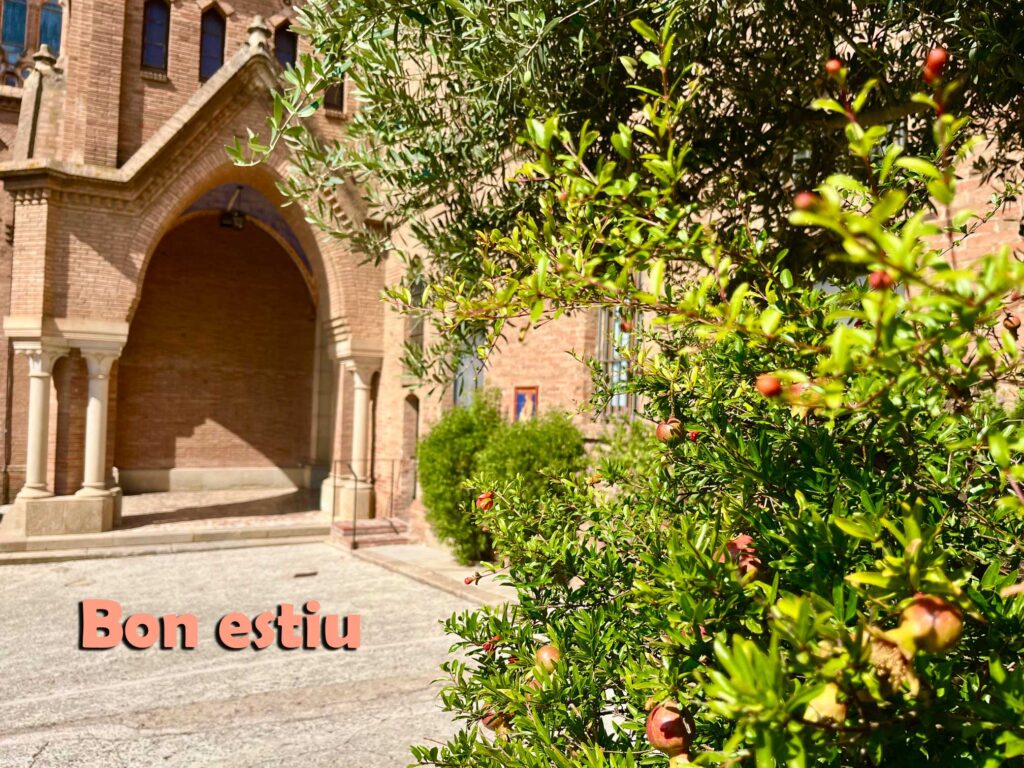 Valldonzella-bon-estiu-2026